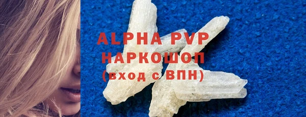 ПСИЛОЦИБИНОВЫЕ ГРИБЫ Михайлов