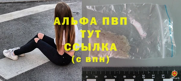 ПСИЛОЦИБИНОВЫЕ ГРИБЫ Михайлов