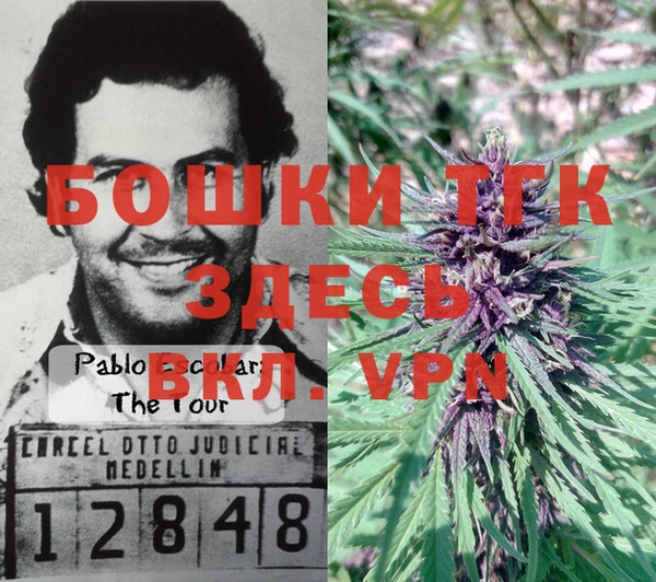 дурь Мегион